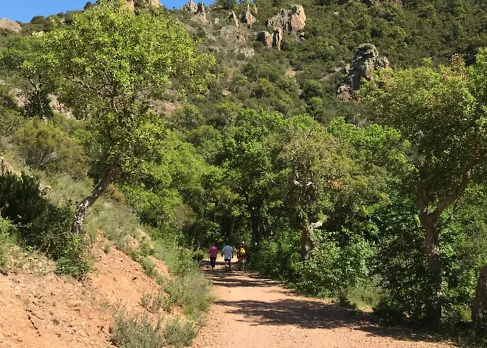 Apartament Envol St Raphael